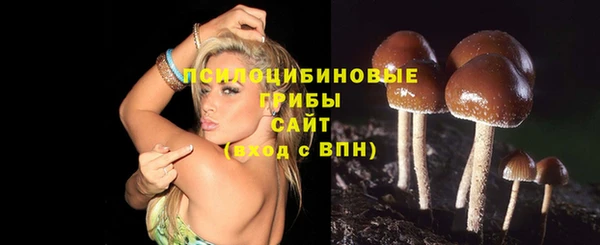 кокаин премиум Горняк