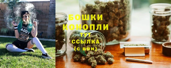 дмт Горнозаводск