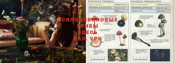 гидропоника Гусиноозёрск