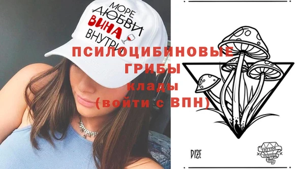 спиды Горно-Алтайск