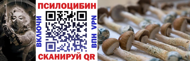 купить наркотики сайты  Чегем  Галлюциногенные грибы прущие грибы 